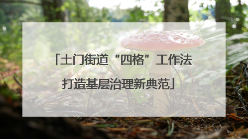土门街道“四格”工作法 打造基层治理新典范