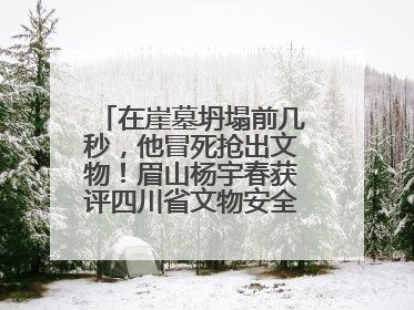 在崖墓坍塌前几秒，他冒死抢出文物！眉山杨宇春获评四川省文物安全守护者