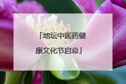 地坛中医药健康文化节启幕