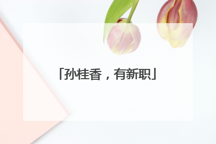 孙桂香，有新职