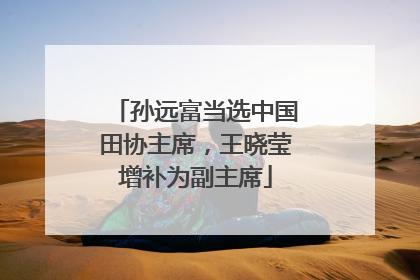 孙远富当选中国田协主席，王晓莹增补为副主席
