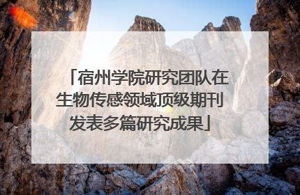 宿州学院研究团队在生物传感领域顶级期刊发表多篇研究成果