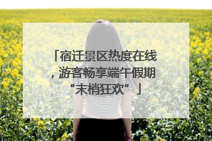 宿迁景区热度在线，游客畅享端午假期“末梢狂欢”