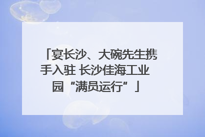 宴长沙、大碗先生携手入驻 长沙佳海工业园“满员运行”