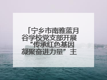 宁乡市南雅蓝月谷学校党支部开展“传承红色基因 凝聚奋进力量”主题党日活动