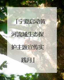 宁夏启动黄河流域生态保护主题宣传实践月