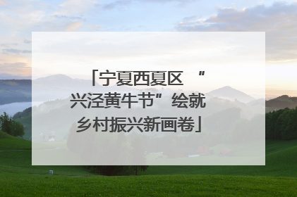 宁夏西夏区 “兴泾黄牛节”绘就乡村振兴新画卷