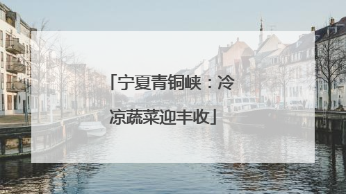 宁夏青铜峡：冷凉蔬菜迎丰收