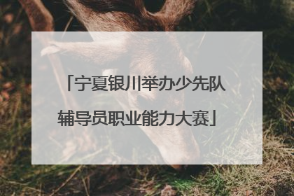 宁夏银川举办少先队辅导员职业能力大赛