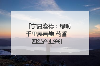 宁夏隆德：绿畴千里展画卷 药香四溢产业兴