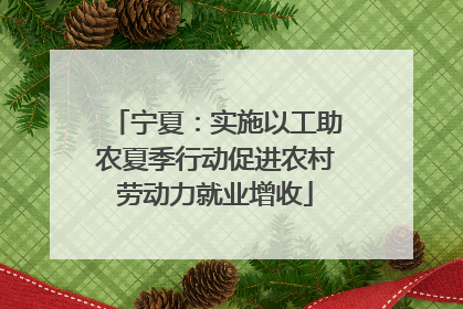 宁夏：实施以工助农夏季行动促进农村劳动力就业增收