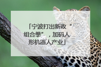 宁波打出新政“组合拳”，加码人形机器人产业