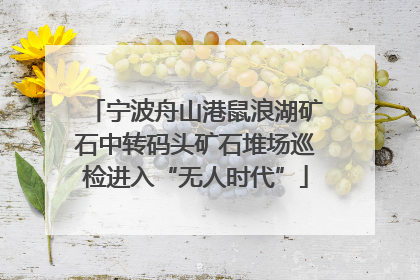 宁波舟山港鼠浪湖矿石中转码头矿石堆场巡检进入“无人时代”
