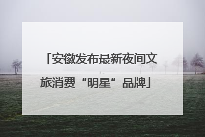 安徽发布最新夜间文旅消费“明星”品牌