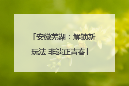 安徽芜湖：解锁新玩法 非遗正青春