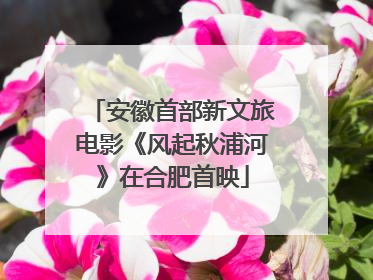 安徽首部新文旅电影《风起秋浦河》在合肥首映