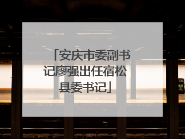 安庆市委副书记廖强出任宿松县委书记