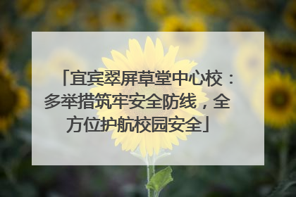 宜宾翠屏草堂中心校：多举措筑牢安全防线，全方位护航校园安全