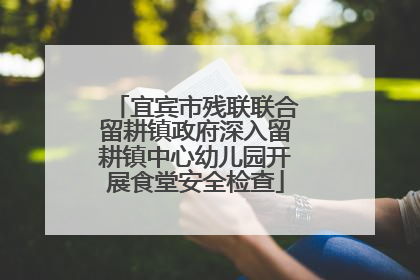 宜宾市残联联合留耕镇政府深入留耕镇中心幼儿园开展食堂安全检查