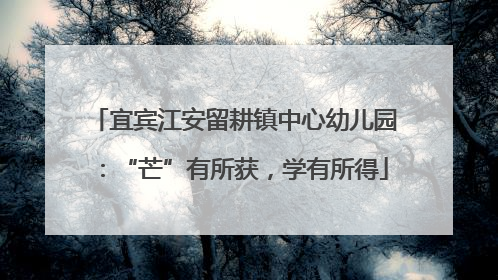 宜宾江安留耕镇中心幼儿园：“芒”有所获，学有所得