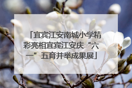 宜宾江安南城小学精彩亮相宜宾江安庆“六一”五育并举成果展