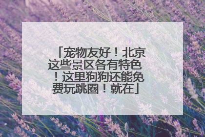 宠物友好！北京这些景区各有特色！这里狗狗还能免费玩跳圈！就在