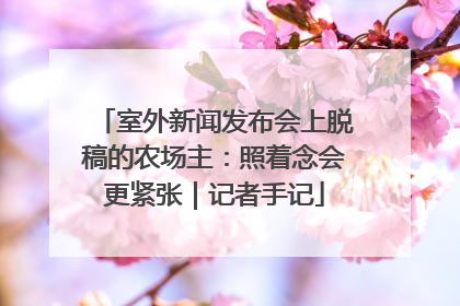 室外新闻发布会上脱稿的农场主：照着念会更紧张｜记者手记