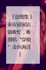 壹图集丨泰安邱家店镇收忙，收割机“穿梭”金色海洋