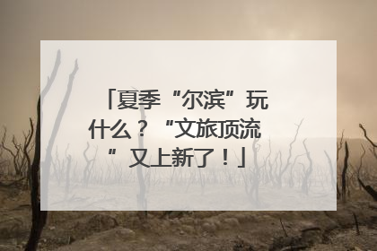 夏季“尔滨”玩什么？“文旅顶流”又上新了！