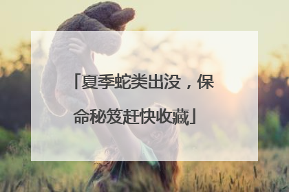 夏季蛇类出没，保命秘笈赶快收藏