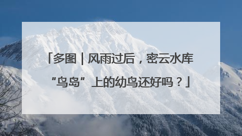 多图｜风雨过后，密云水库“鸟岛”上的幼鸟还好吗？