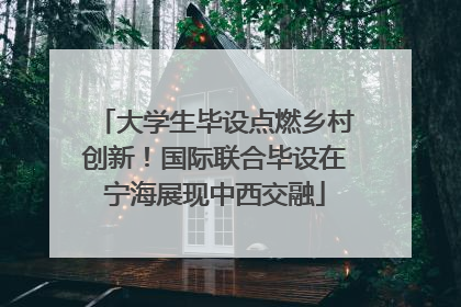 大学生毕设点燃乡村创新！国际联合毕设在宁海展现中西交融