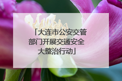 大连市公安交管部门开展交通安全大整治行动