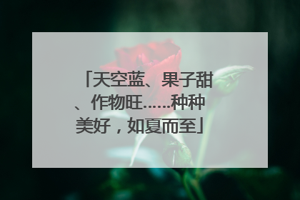 天空蓝、果子甜、作物旺……种种美好，如夏而至