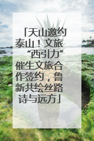 天山邀约泰山！文旅“西引力”催生文旅合作签约，鲁新共绘丝路诗与远方