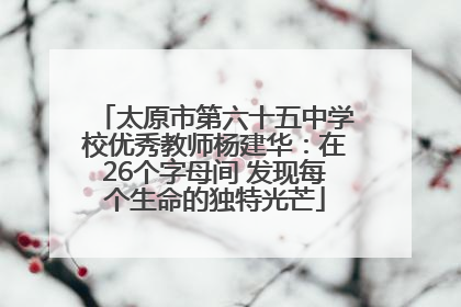 太原市第六十五中学校优秀教师杨建华：在26个字母间 发现每个生命的独特光芒