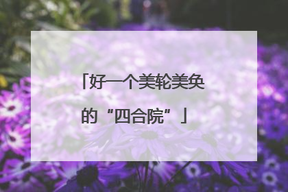 好一个美轮美奂的“四合院”