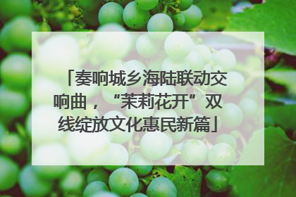 奏响城乡海陆联动交响曲，“茉莉花开”双线绽放文化惠民新篇