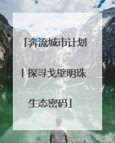 奔流城市计划丨探寻戈壁明珠生态密码