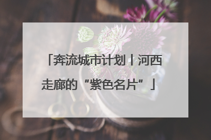 奔流城市计划丨河西走廊的“紫色名片”