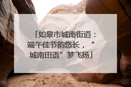 如皋市城南街道：端午佳节韵悠长，“城南田语”梦飞扬