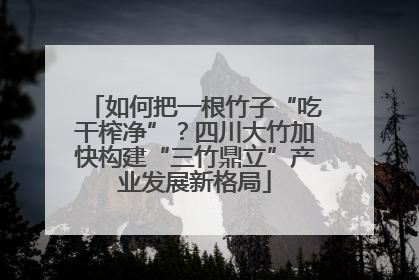 如何把一根竹子“吃干榨净”？四川大竹加快构建“三竹鼎立”产业发展新格局