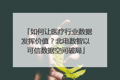 如何让医疗行业数据发挥价值？北电数智以可信数据空间破局