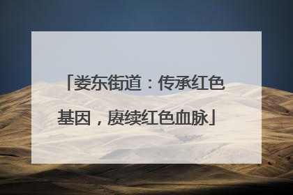 娄东街道：传承红色基因，赓续红色血脉