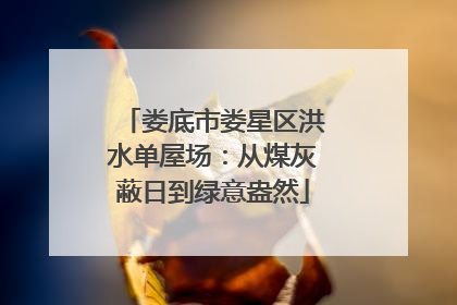 娄底市娄星区洪水单屋场：从煤灰蔽日到绿意盎然