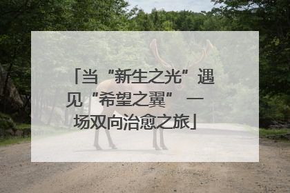 当“新生之光”遇见“希望之翼” 一场双向治愈之旅