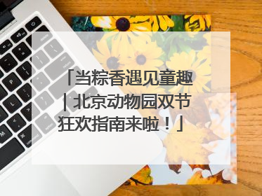 当粽香遇见童趣｜北京动物园双节狂欢指南来啦！