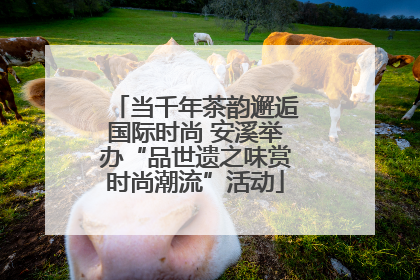 当千年茶韵邂逅国际时尚 安溪举办“品世遗之味赏时尚潮流”活动