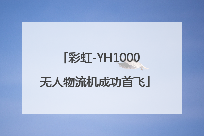 彩虹-YH1000无人物流机成功首飞