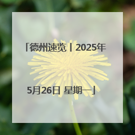 德州速览丨2025年5月26日 星期一